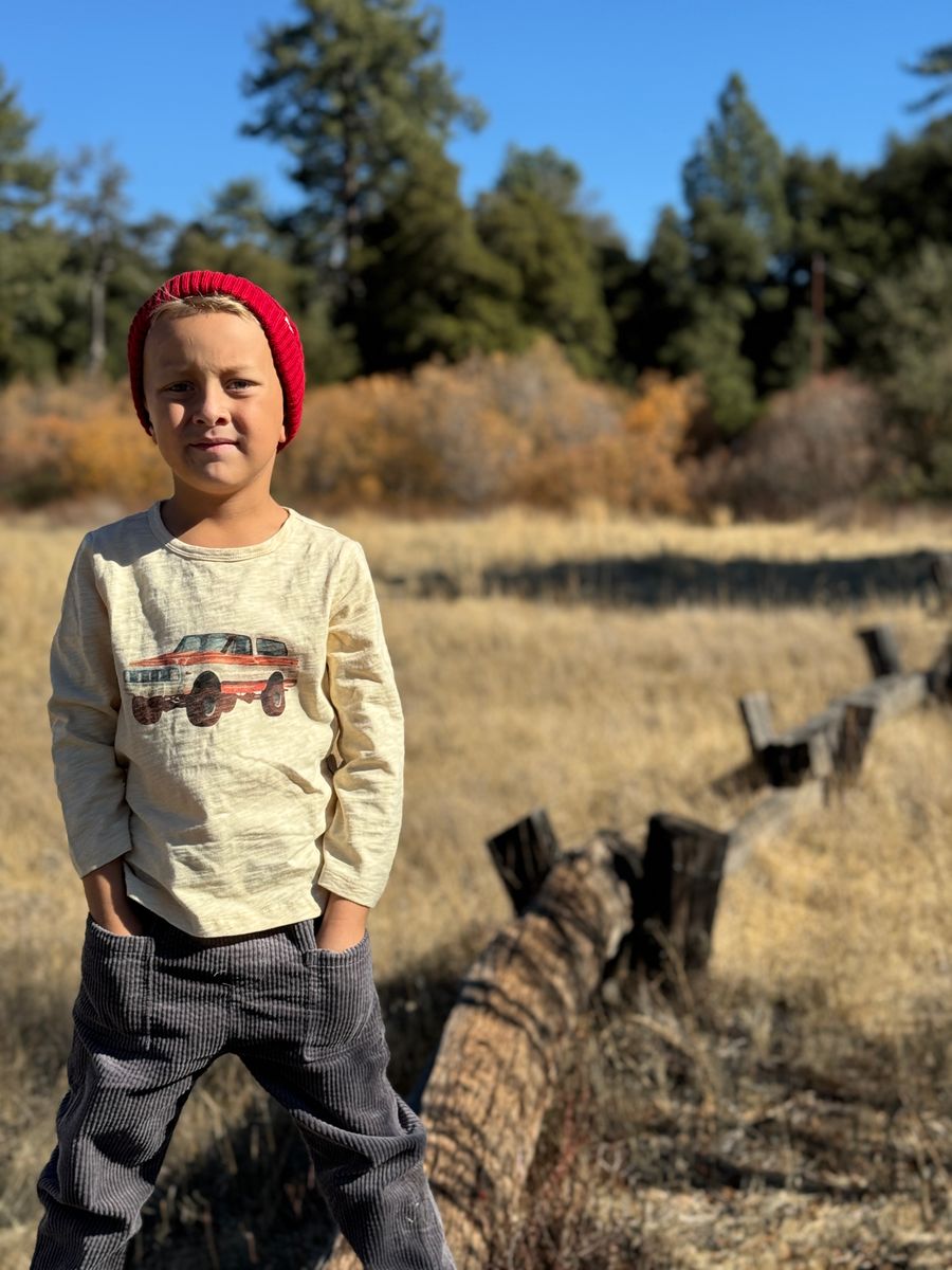 Me & Henry Cherokee Raglan Printed Tee