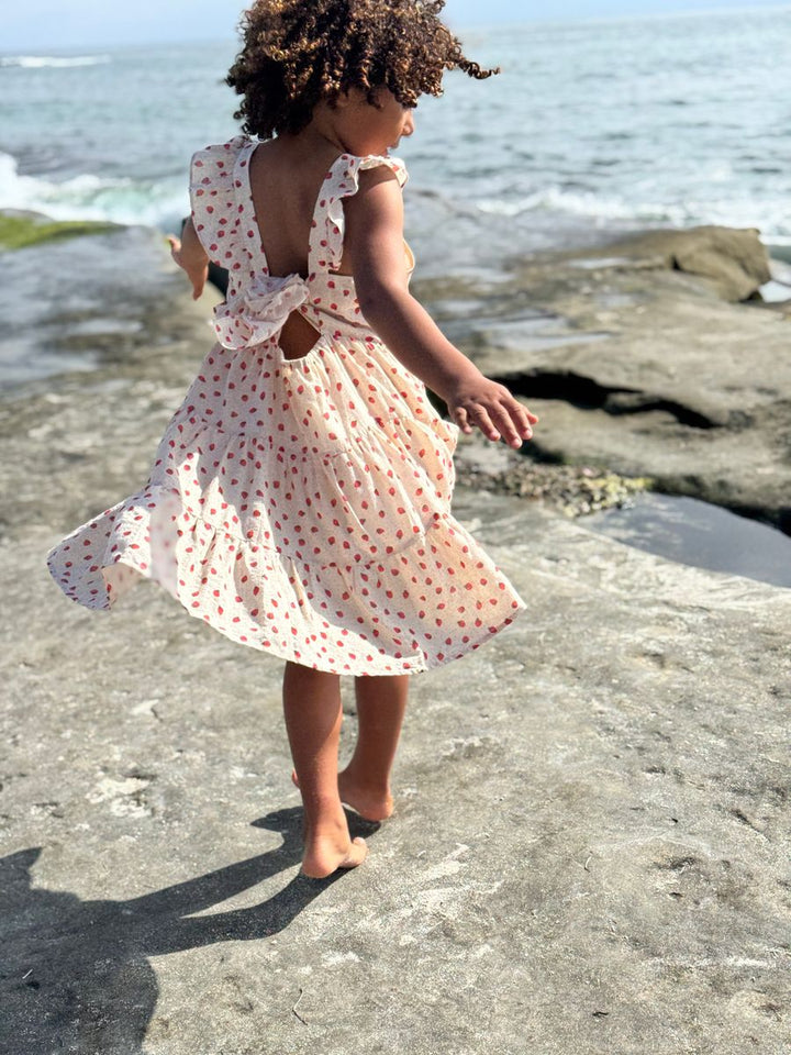 Vignette Emmie Dress - Oatmeal Strawberries