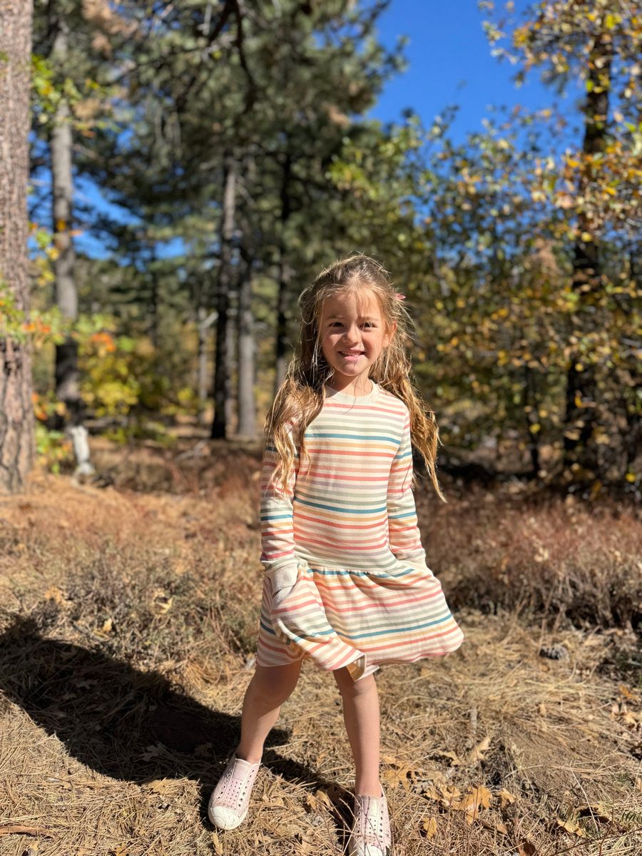 Vignette Lara Dress - Rainbow Stripe