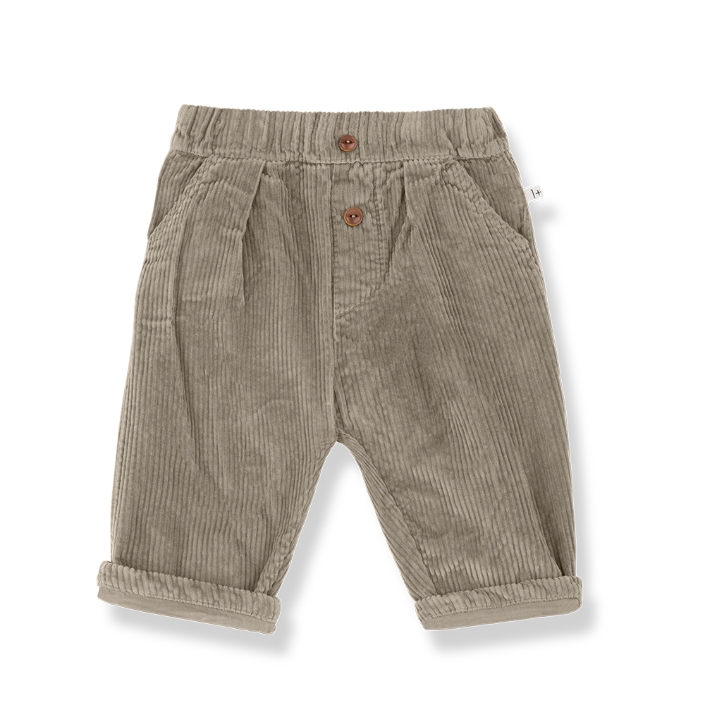 1+ In The Family Quebec Lined Pants - Canapa