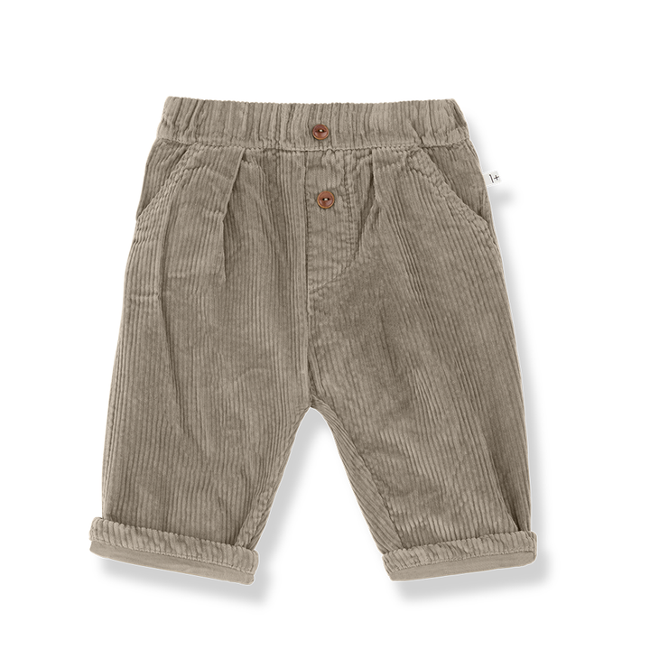 1+ In The Family Quebec Lined Pants - Canapa