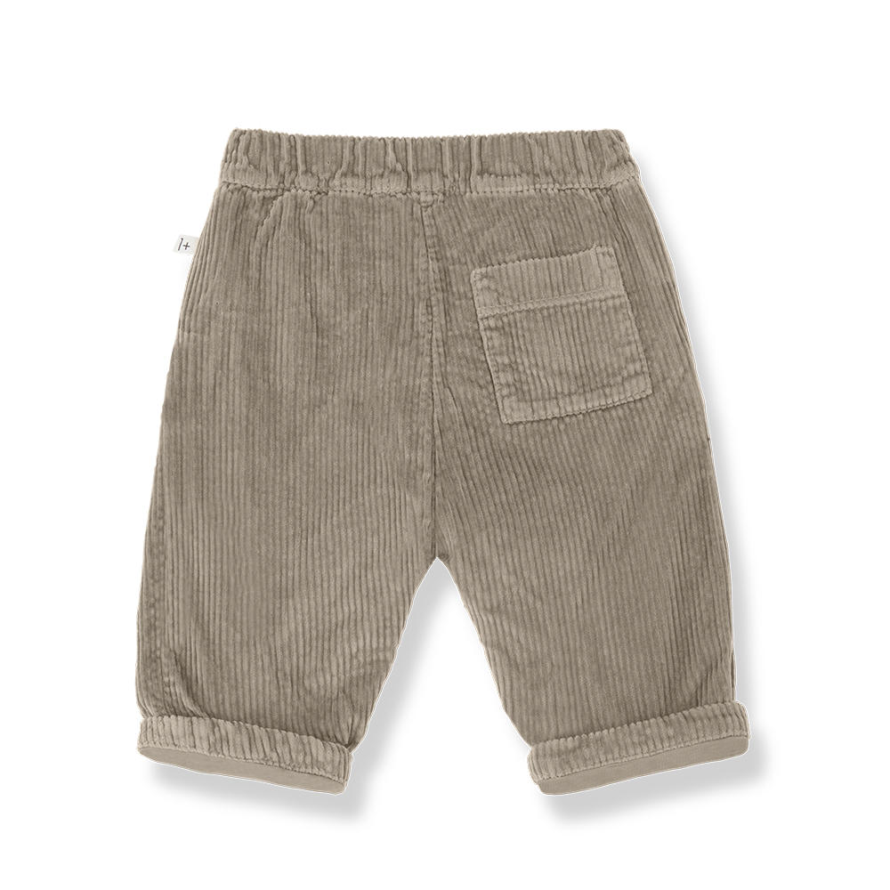 1+ In The Family Quebec Lined Pants - Canapa
