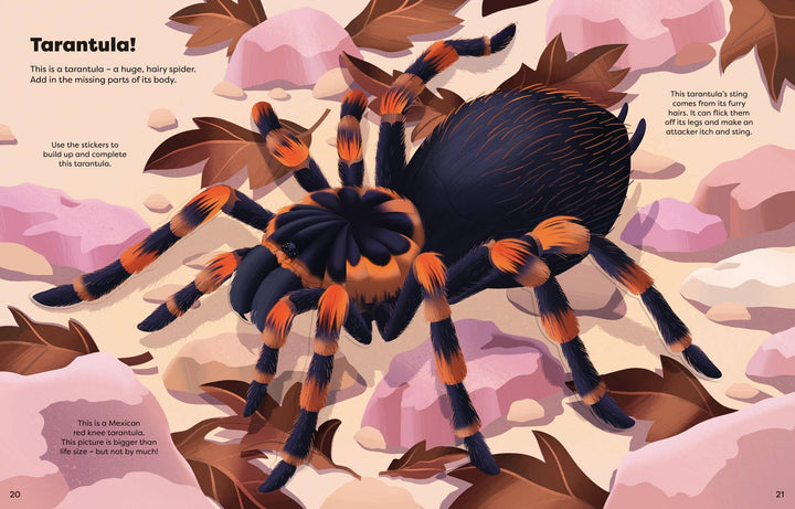Usborne Big Sticker Book Bugs