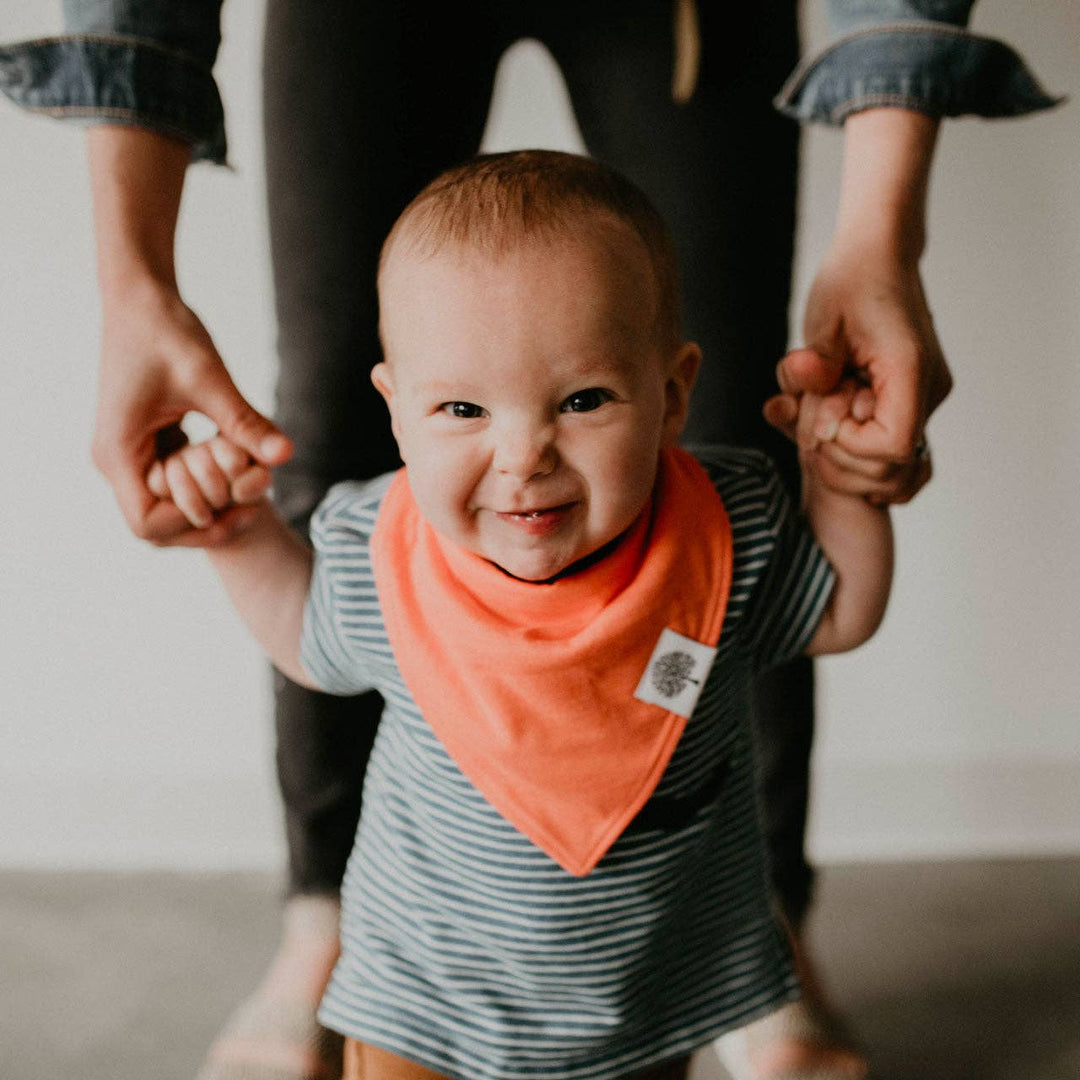 Parker Baby Co. Estes Bandana Bib Set