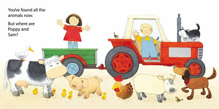 Poppy And Sam's Animal Hide-And-Seek : Usborne