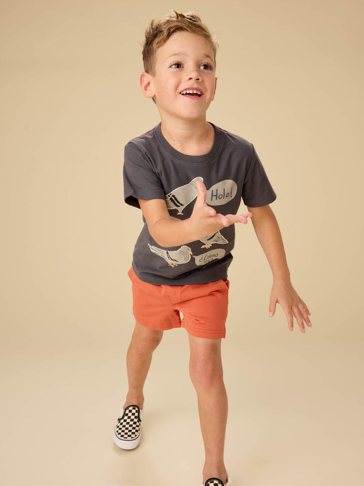 Tea Collection Knit Shortie - Copper