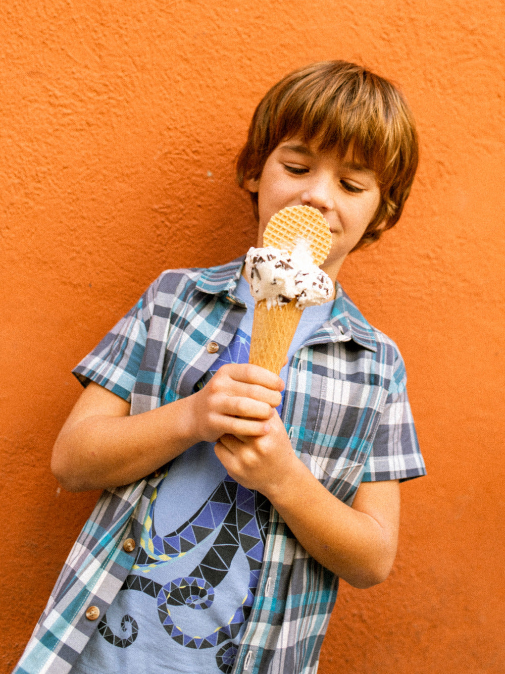 Tea Collection Plaid Button Up Woven Shirt - Valencia Plaid