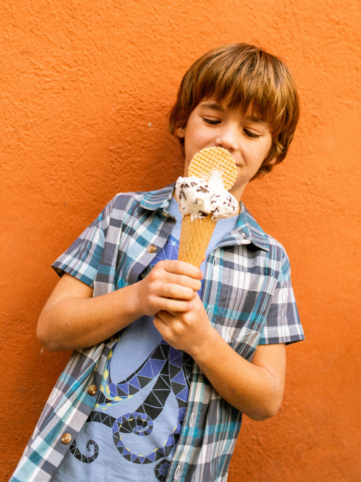 Tea Collection Plaid Button Up Woven Shirt - Valencia Plaid