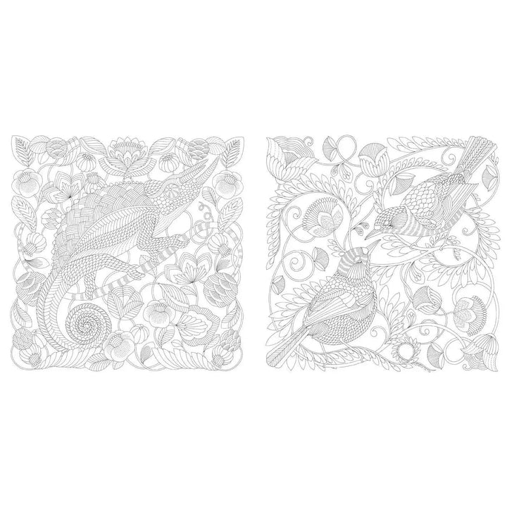 Millie Marotta's Wildlife Wonders Coloring Book