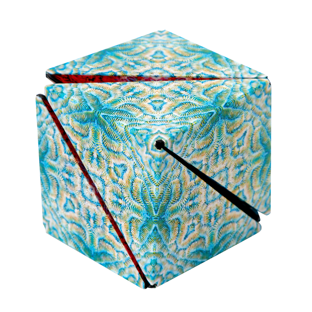 Shashibo Undersea Magnetic Puzzle Cube