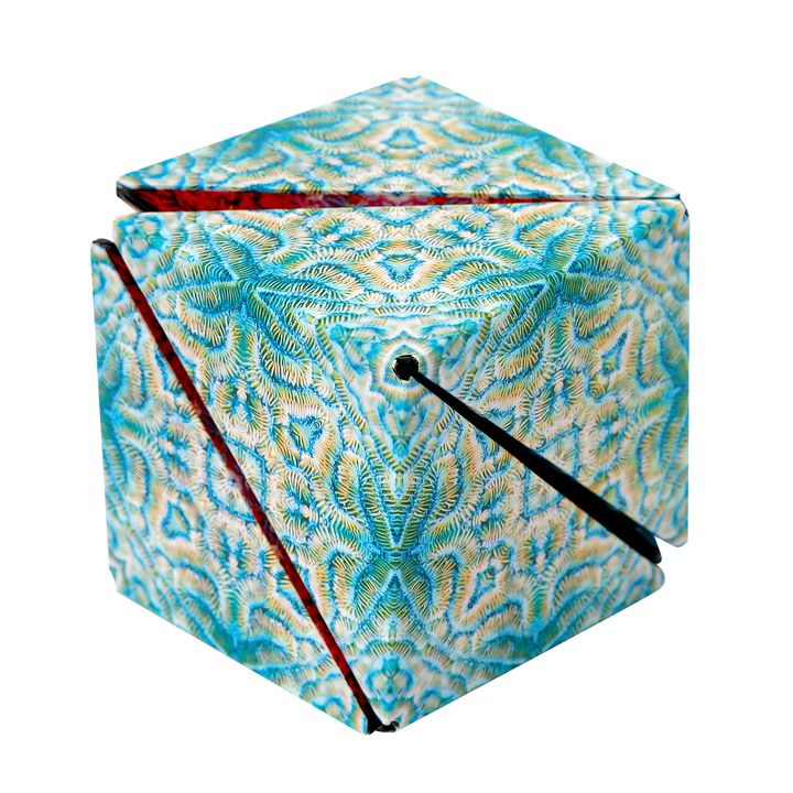 Shashibo Undersea Magnetic Puzzle Cube