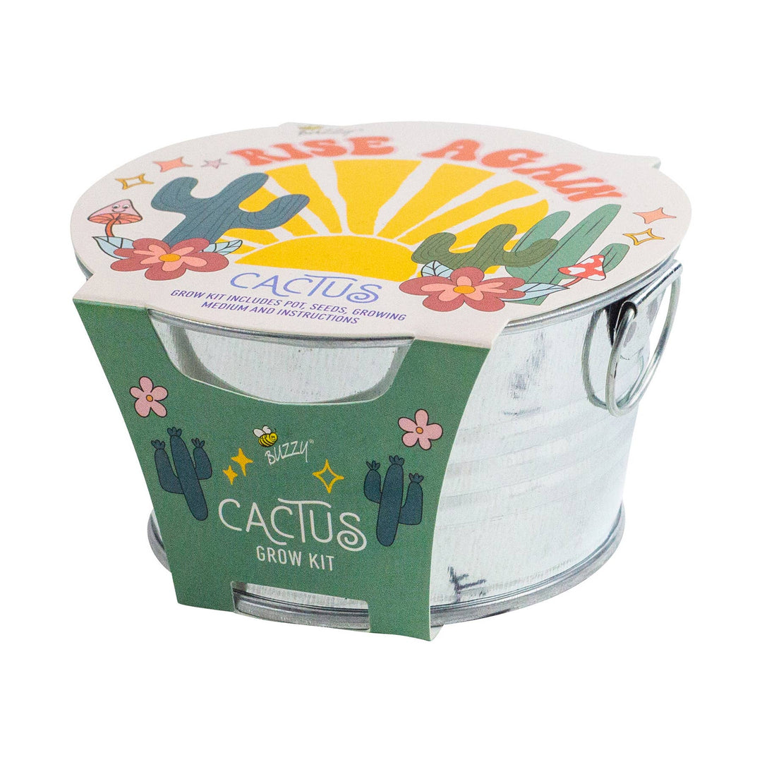 Buzzy Seeds Grow Gifts Mini Galvanized Basin Cactus Grow Kit – Indoor Plant Gift