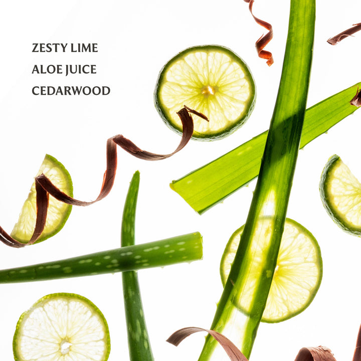 Touchland Mist Hydrating Hand Sanitizer - Aloe You Power