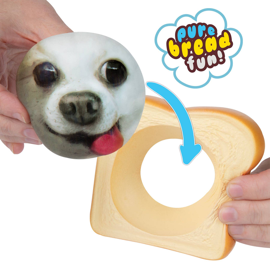Pure Breads Pets