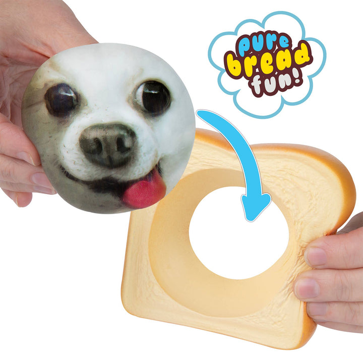 Pure Breads Pets