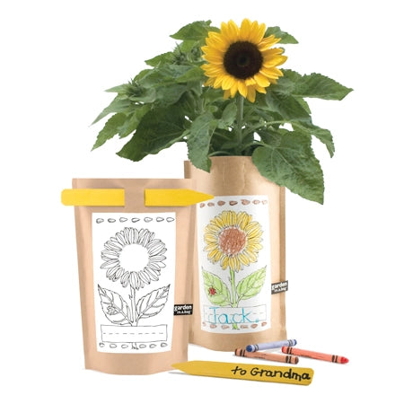 Potting Shed Creation Garden In A Bag - Mini Sunflower