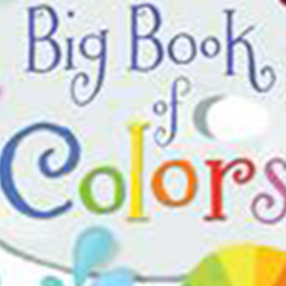 Usborne Big Book Of Colors