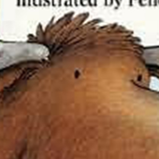 If You Give A Moose A Muffin