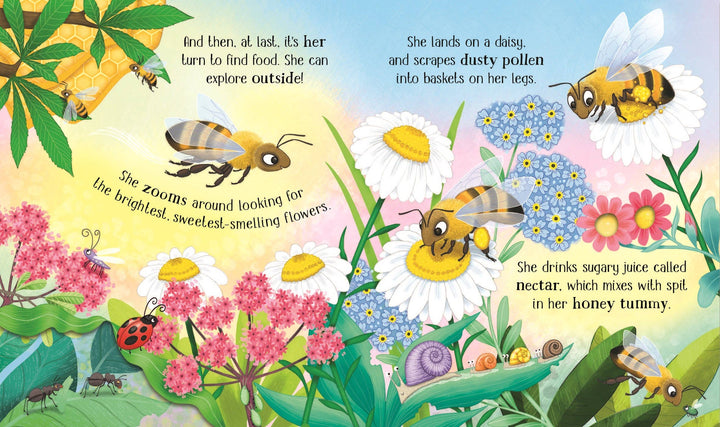 Usborne One Little Bee Board Book