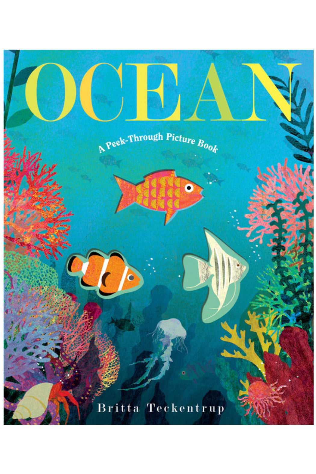 Ocean: A Peek Through Picture Book