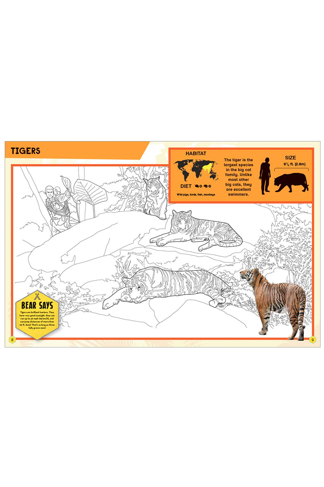 Usborne Bear Grylls In The Jungle Coloring Book