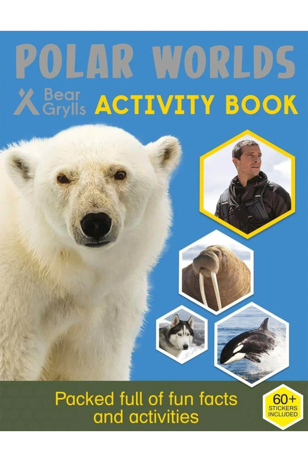 Bear Grylls Polar Worlds Activity Book