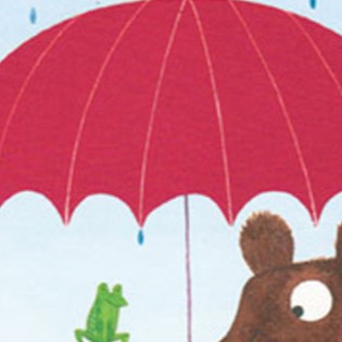 Usborne Lift-the-Flap First Questions And Answers: What Makes it Rain?