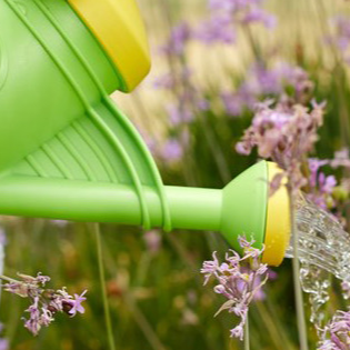 Green Toys Watering Can
