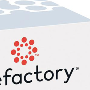 Lifefactory Silicone Nipple 2 Pack: Stage 2