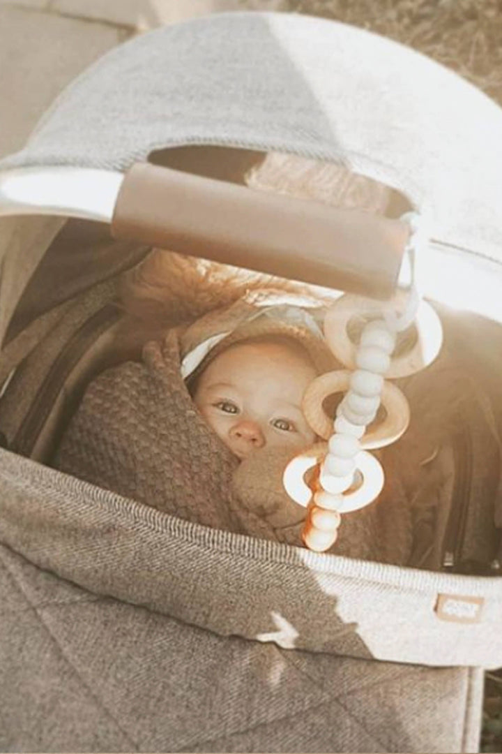 Little Chew Car Seat Toy - Oatt