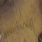 Papo Pyrenees Bear Figurine