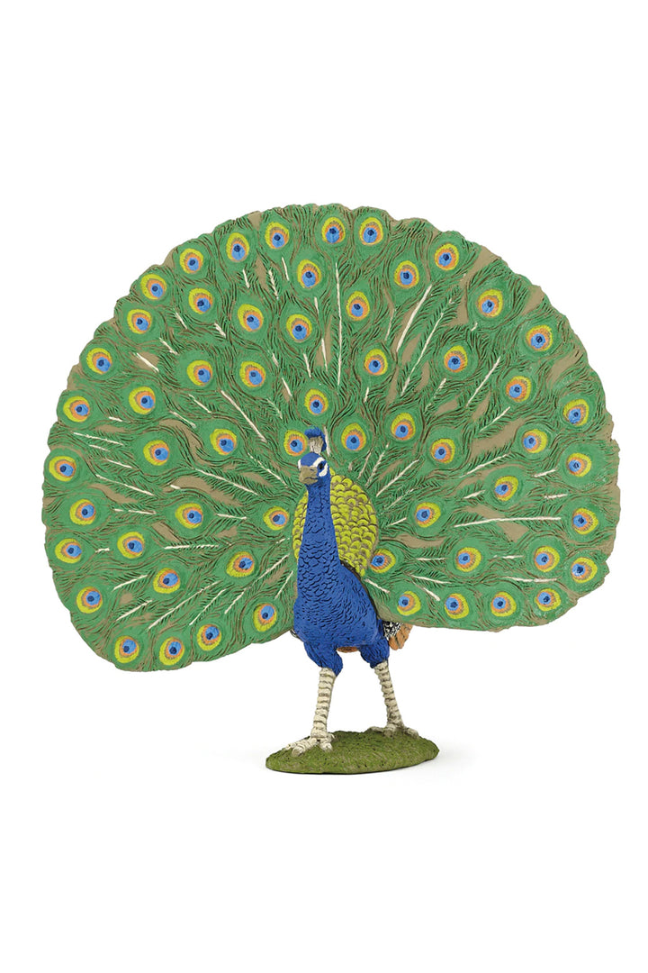 Papo Peacock