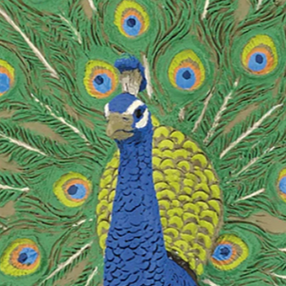 Papo Peacock