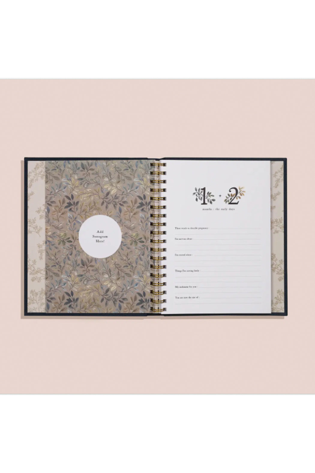Paige & Tate Co Growing You: Pregnancy Journal