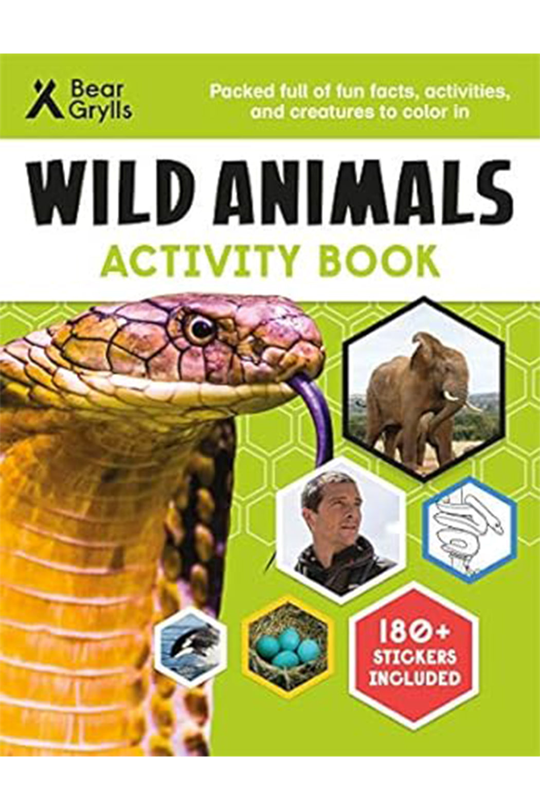 Usborne Bear Grylls Wild Animals Activity Book