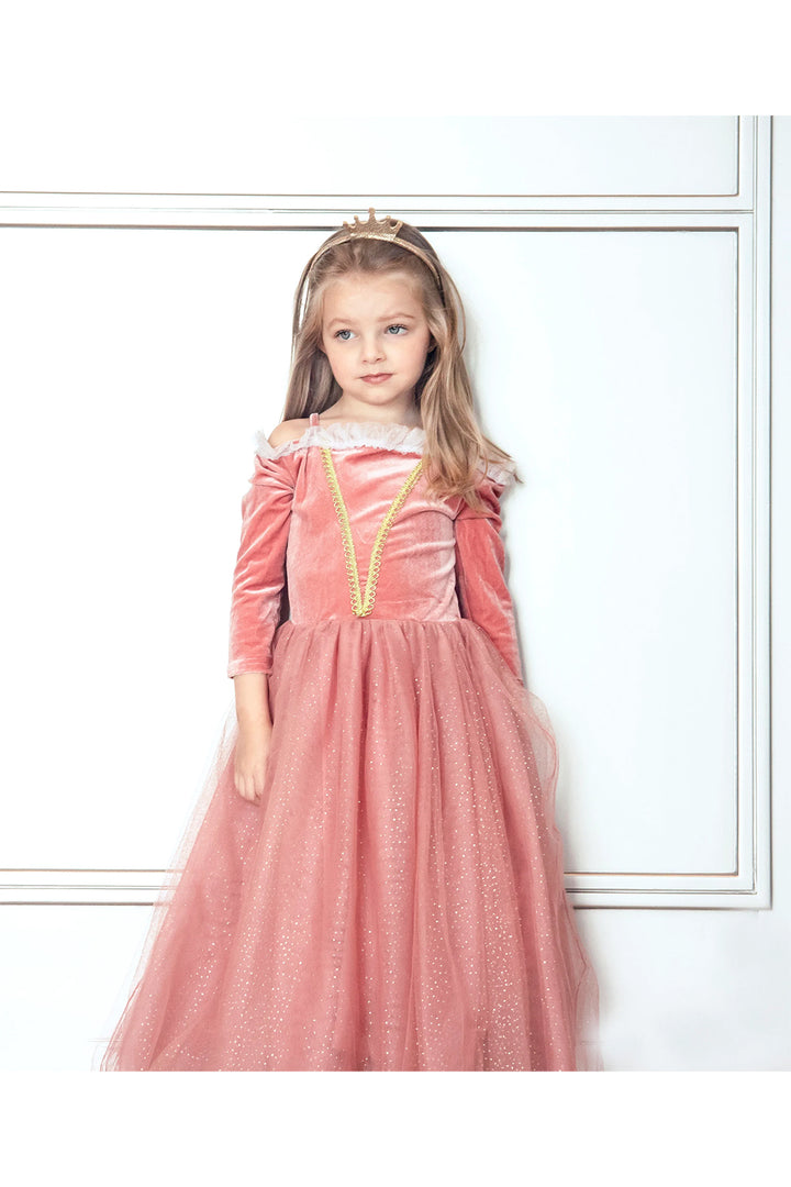 Joy Costumes Princess Briar Rose Costume Dress