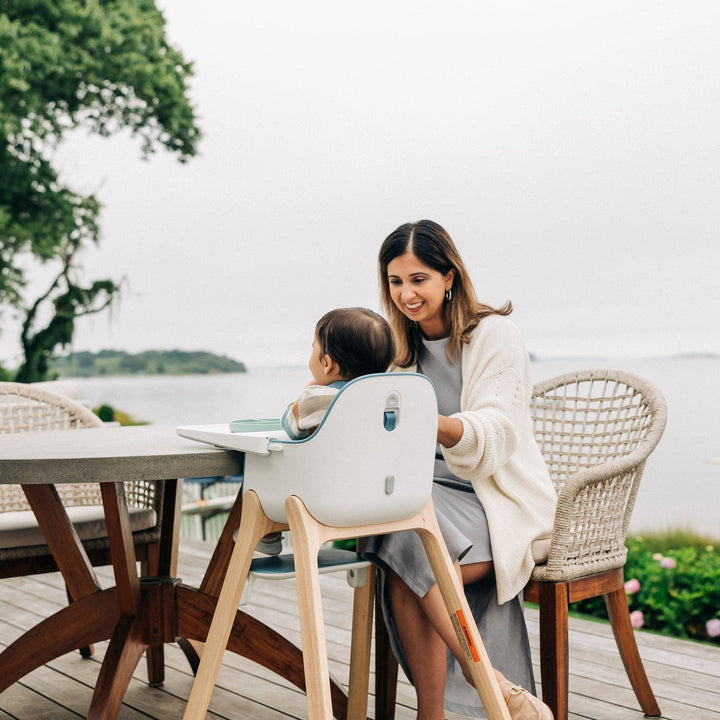 UPPAbaby Ciro High Chair