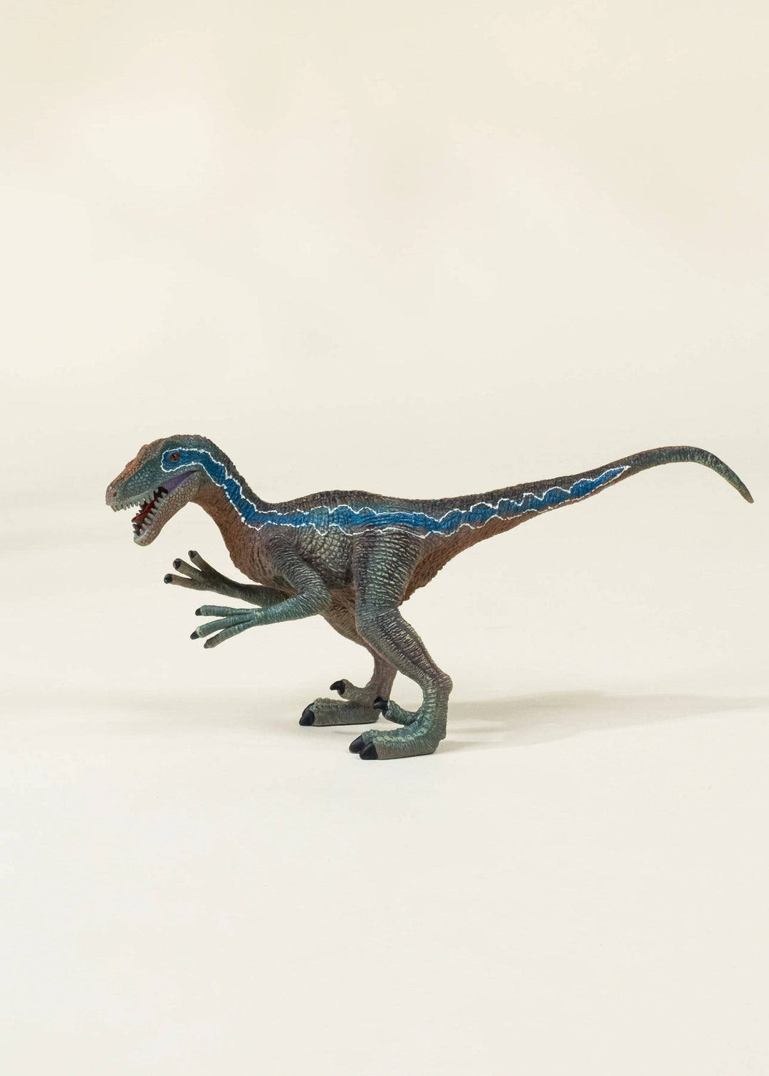 Coco Village Velociraptor Dinosaur in a Collectible Box