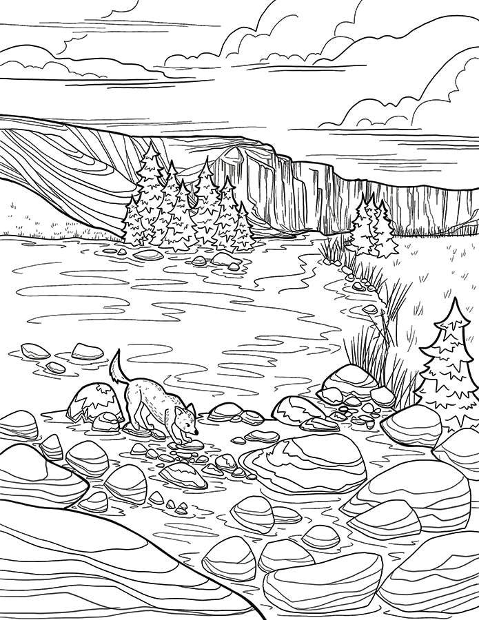 Michele Michael Art The Bend Coloring Book