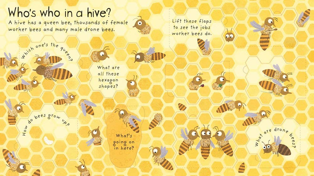 Usborne First Questions And Answers: Why Do We Need Bees?
