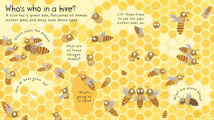 Usborne First Questions And Answers: Why Do We Need Bees?