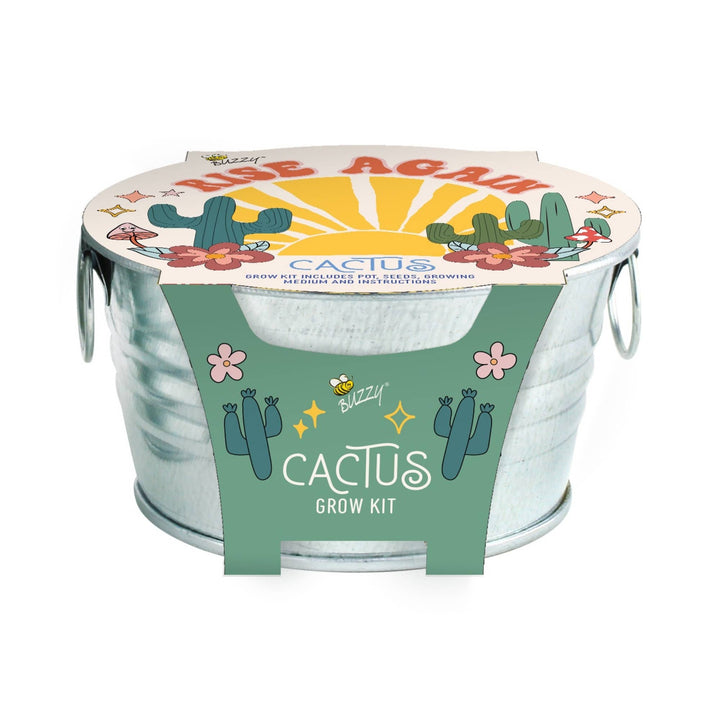 Buzzy Seeds Grow Gifts Mini Galvanized Basin Cactus Grow Kit – Indoor Plant Gift