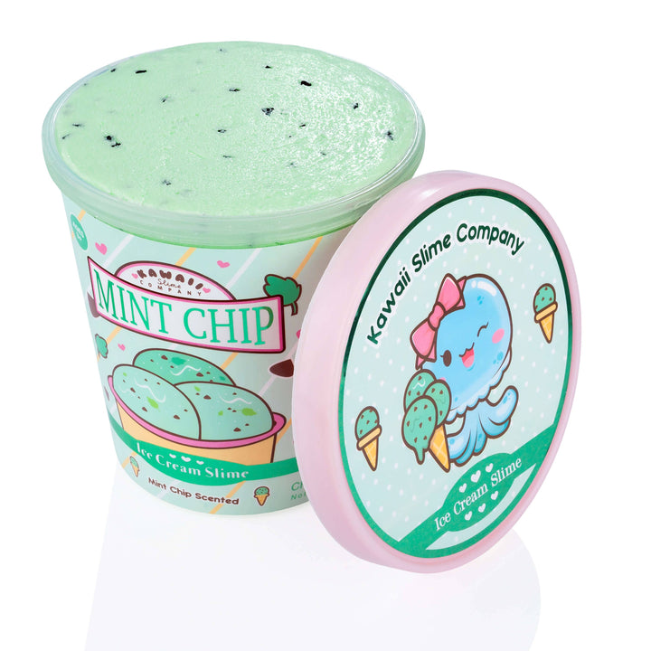 Kawaii Slime Mint Chip Scented Ice Cream Pint Slime