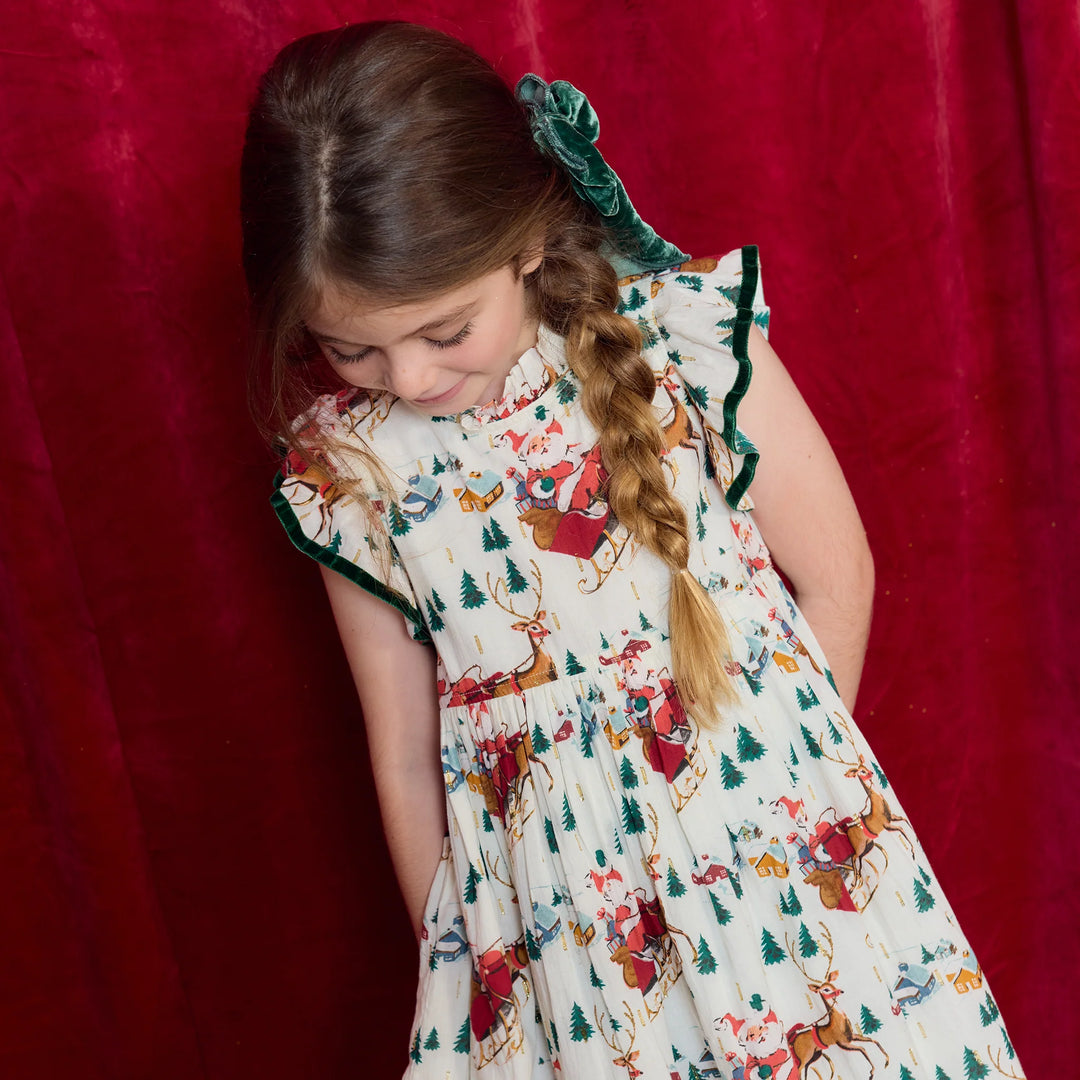 Pink Chicken Jennifer Dress - Santa Sleigh