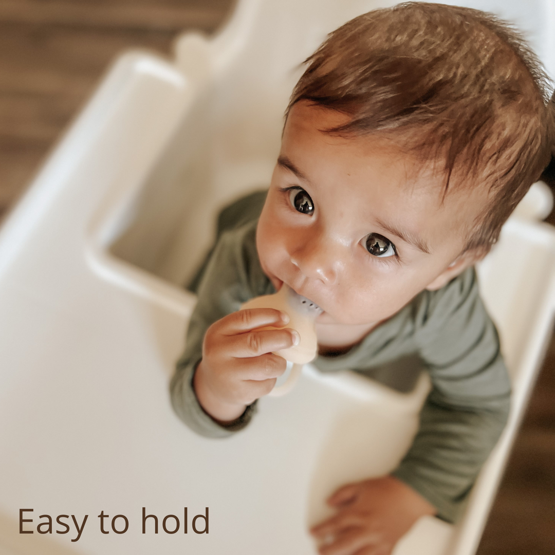 Ali + Oli Silicone Food & Fruit Feeder - Oat & Coco