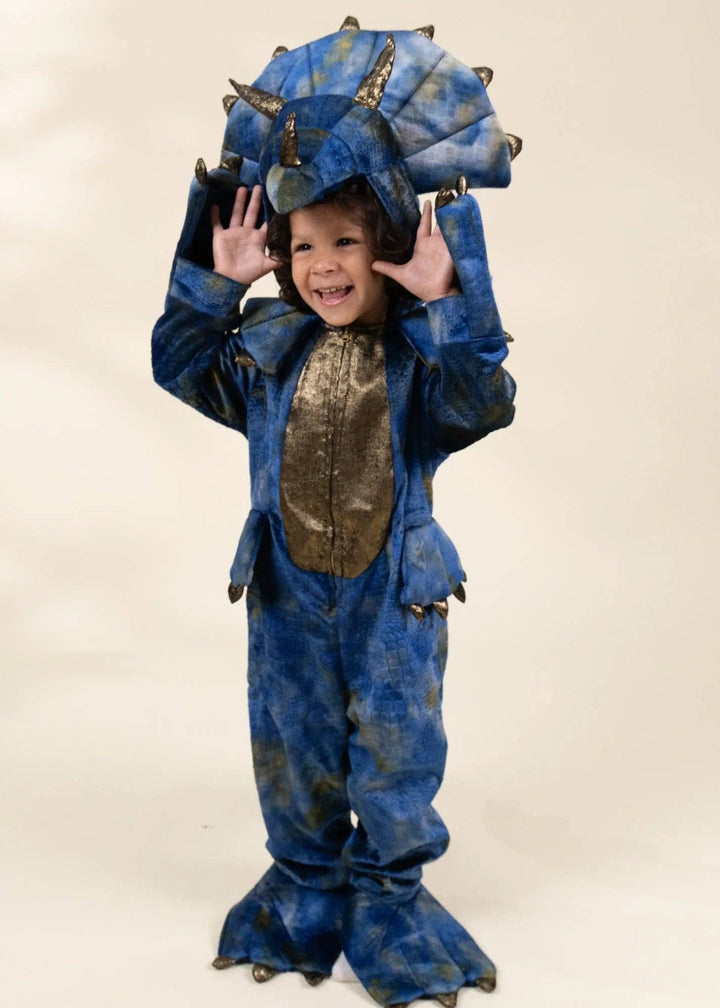Coco Village Dinosaur Play Costume
