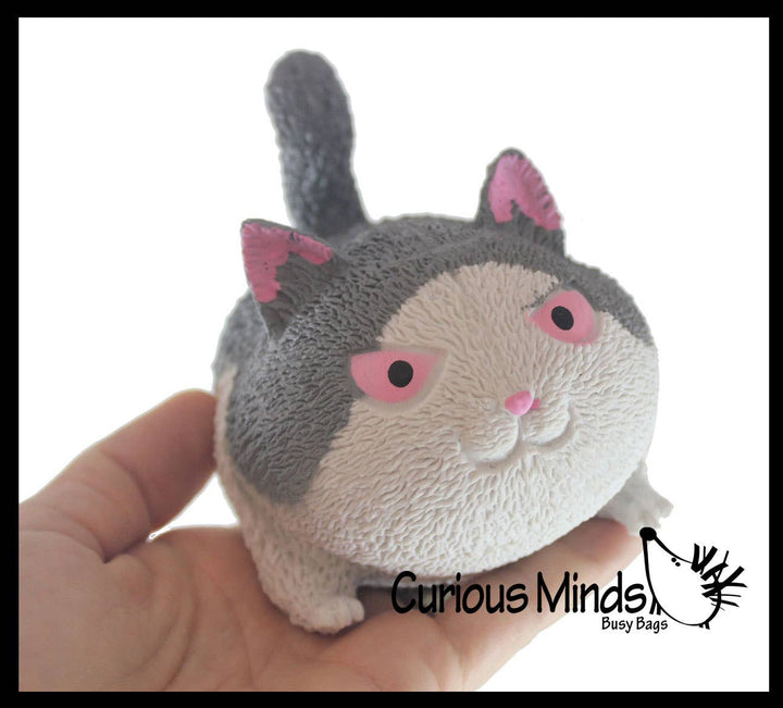 Angry Cat Soft Fluff Doh Squeeze Stress Balls  -
