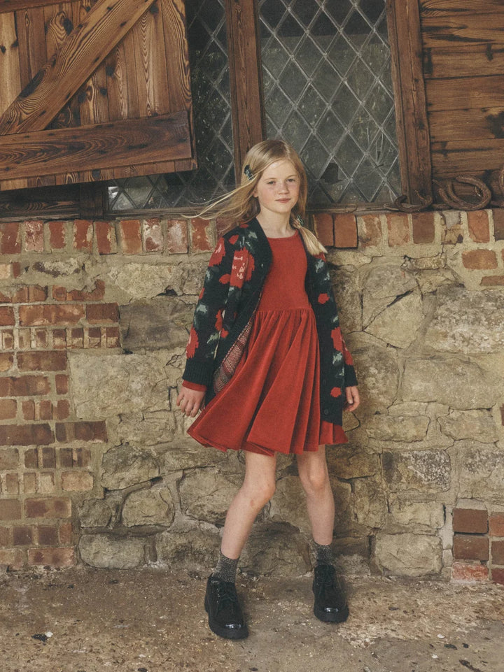 Tea Collection Velour Ballet Dress - Red Wagon