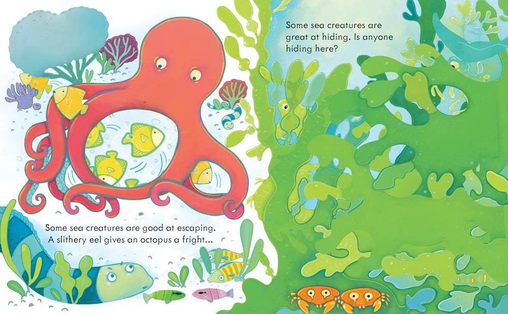 Usborne Peek Inside the Sea