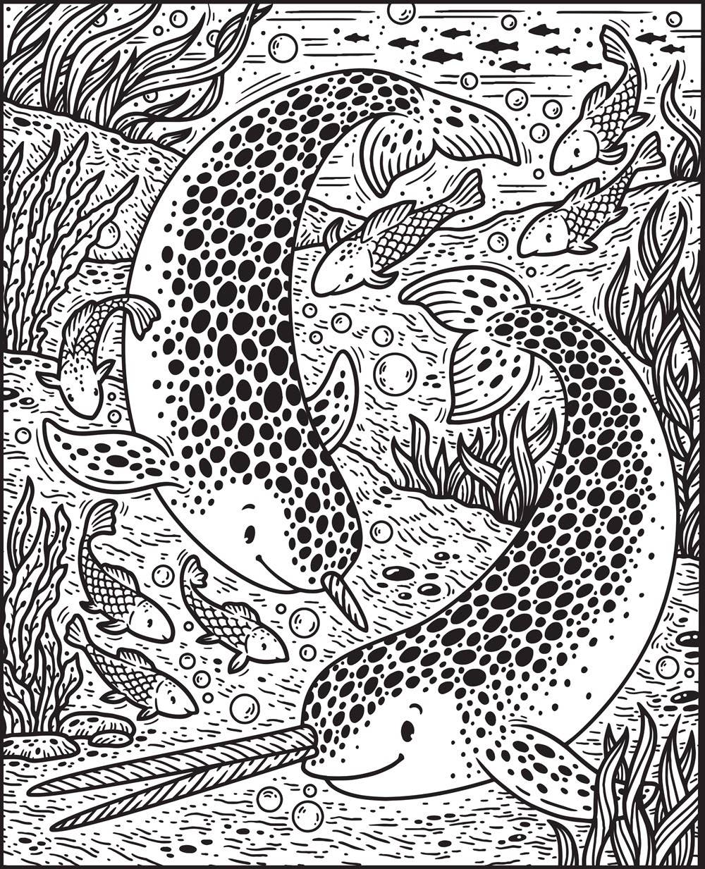 Usborne Narwhals & Other Sea Creatures Magic Painting Book